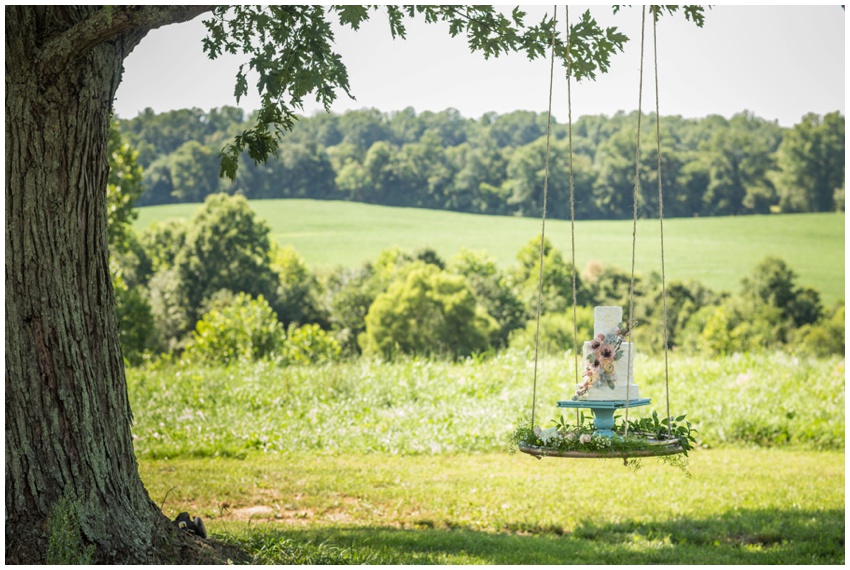 urbanrowphoto-blue-blush-virginia-wedding_0022