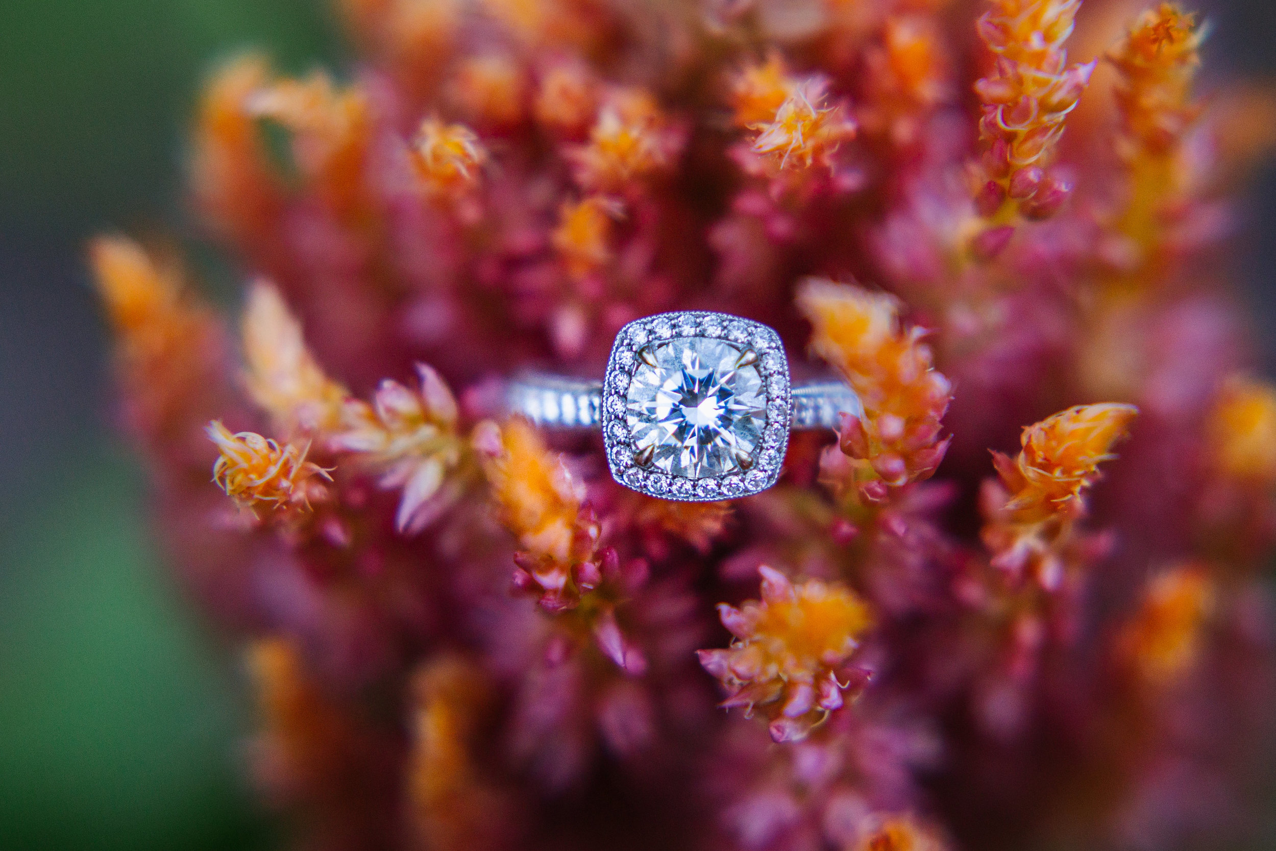 baltimore-engagement-solitaire-ring.jpg