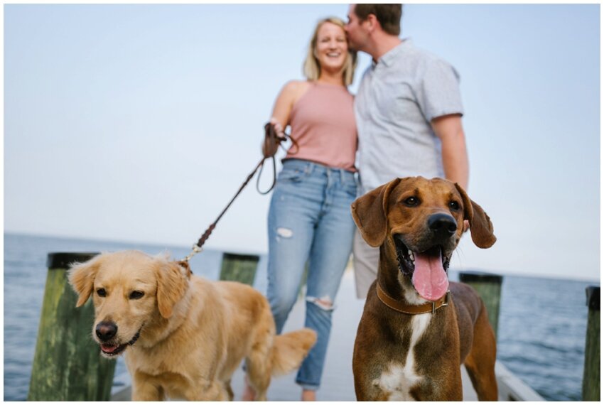 urban-row-photo-beach-dog-engagement_0016.jpg