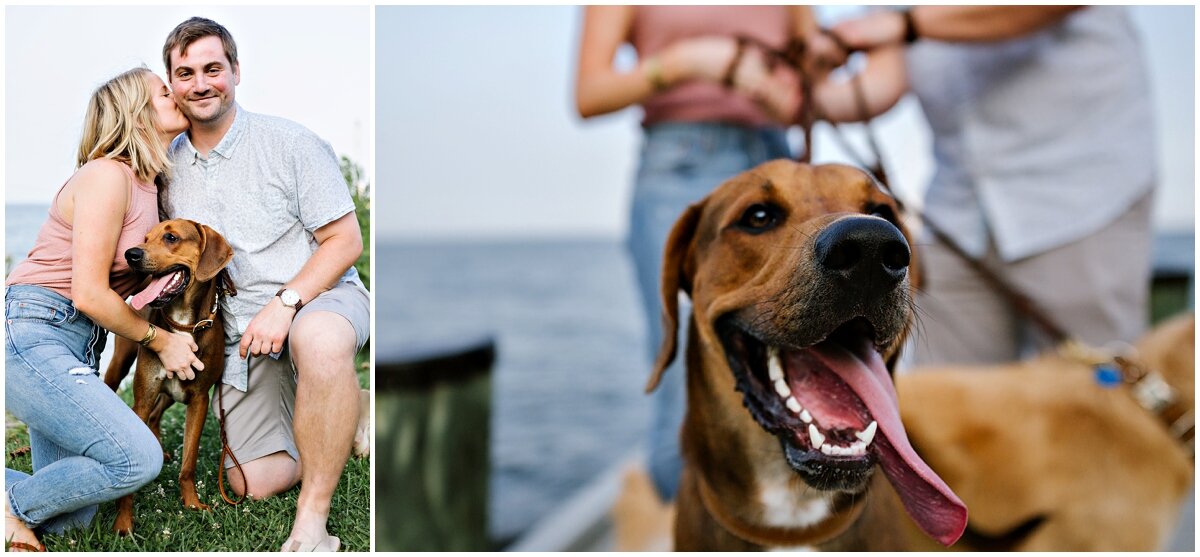 urban-row-photo-summer-engagement-session-with-dog_0002.jpg