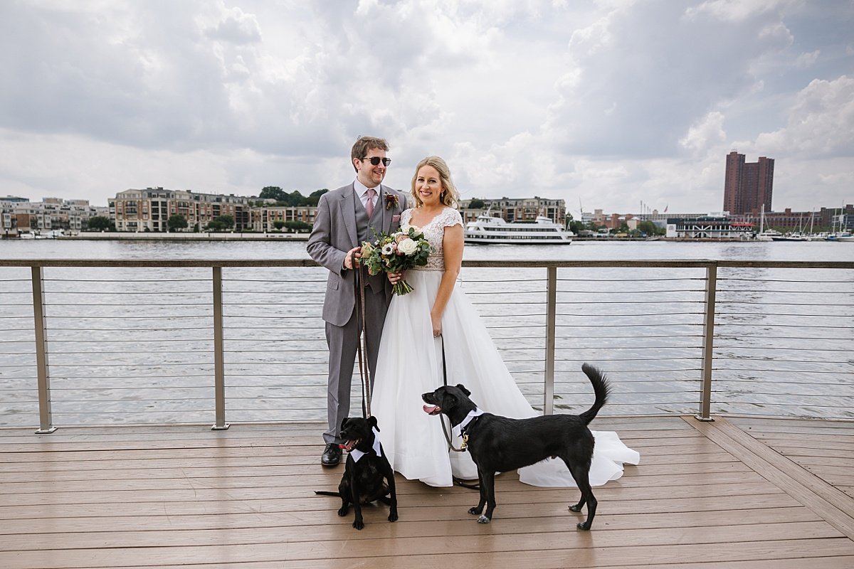 sam + brian | a relaxed accelerator space wedding with 2 dogs + lush blooms