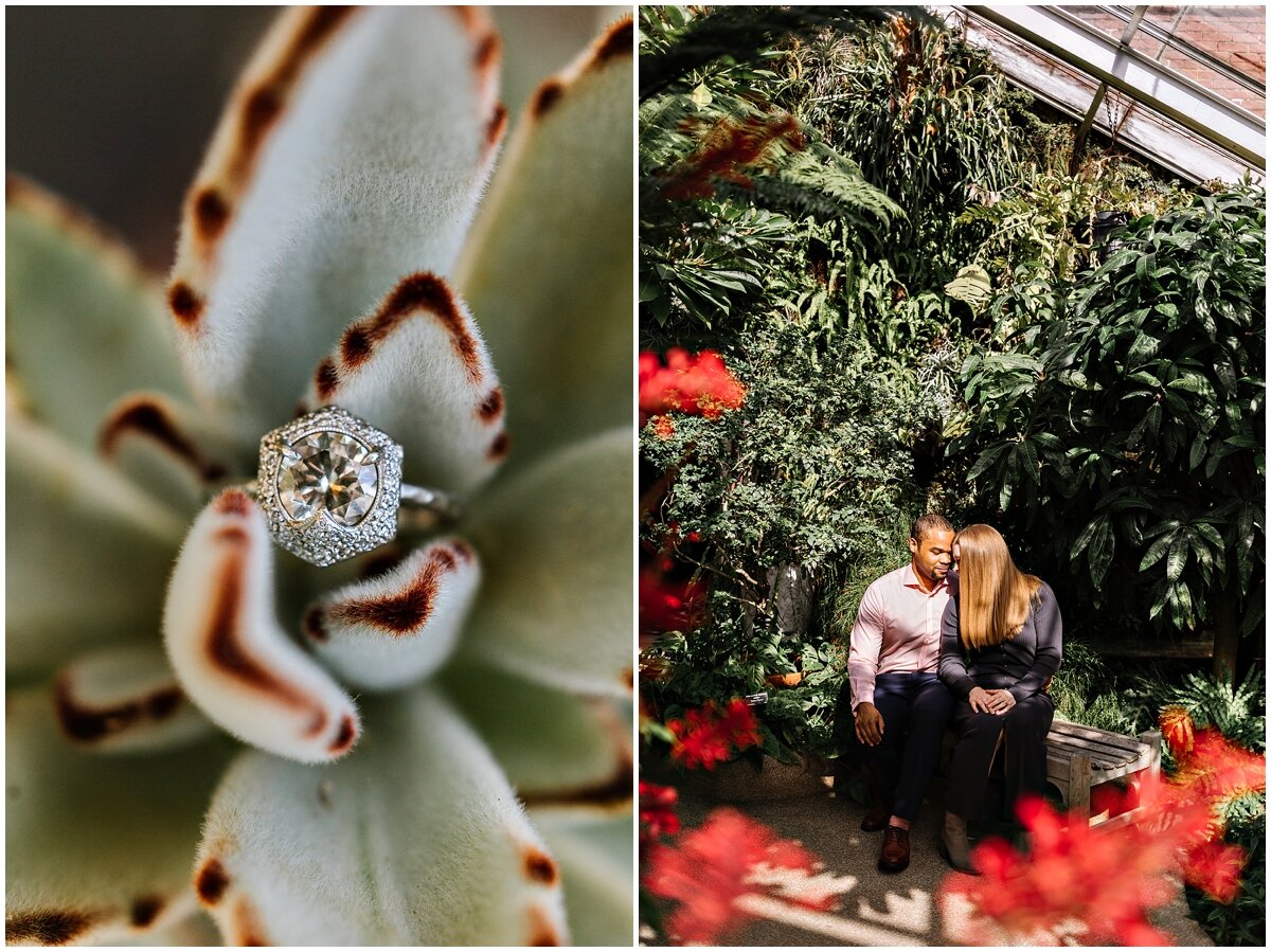 urban-row-photo-rawlings-conservatory-engagement_0005.jpg