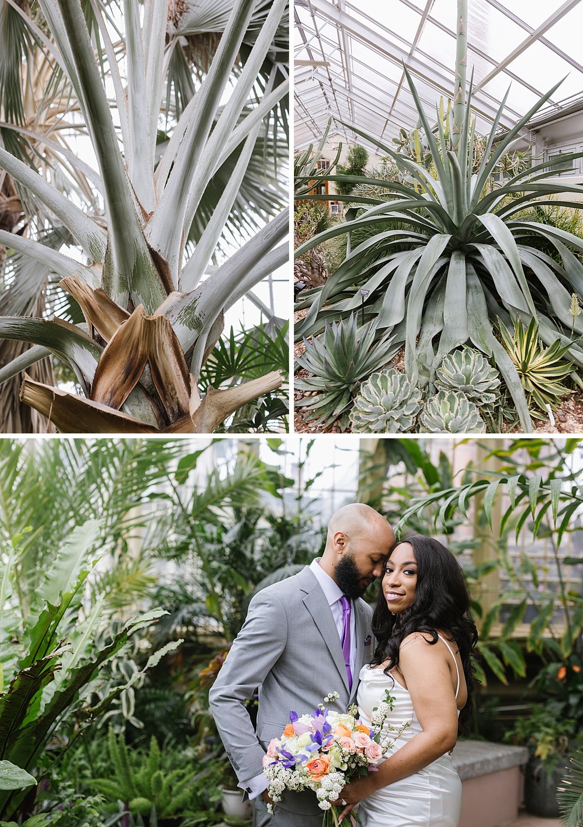 urban-row-photo-rawlings-conservatory-wedding-photographer_0011.jpg