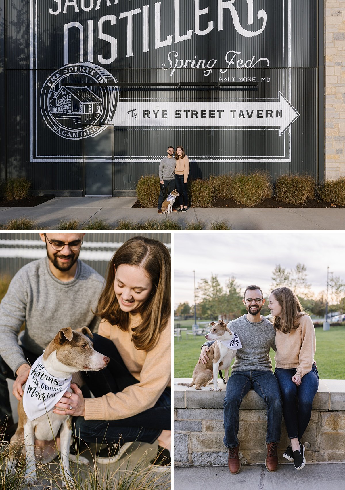 urban-row-photo-rye-street-tavern-dog-engagement-photographer_0003.jpg