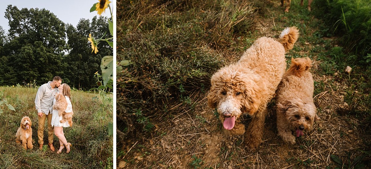 urban-row-photo-flower-field-dog-engagement-photos_0001.jpg