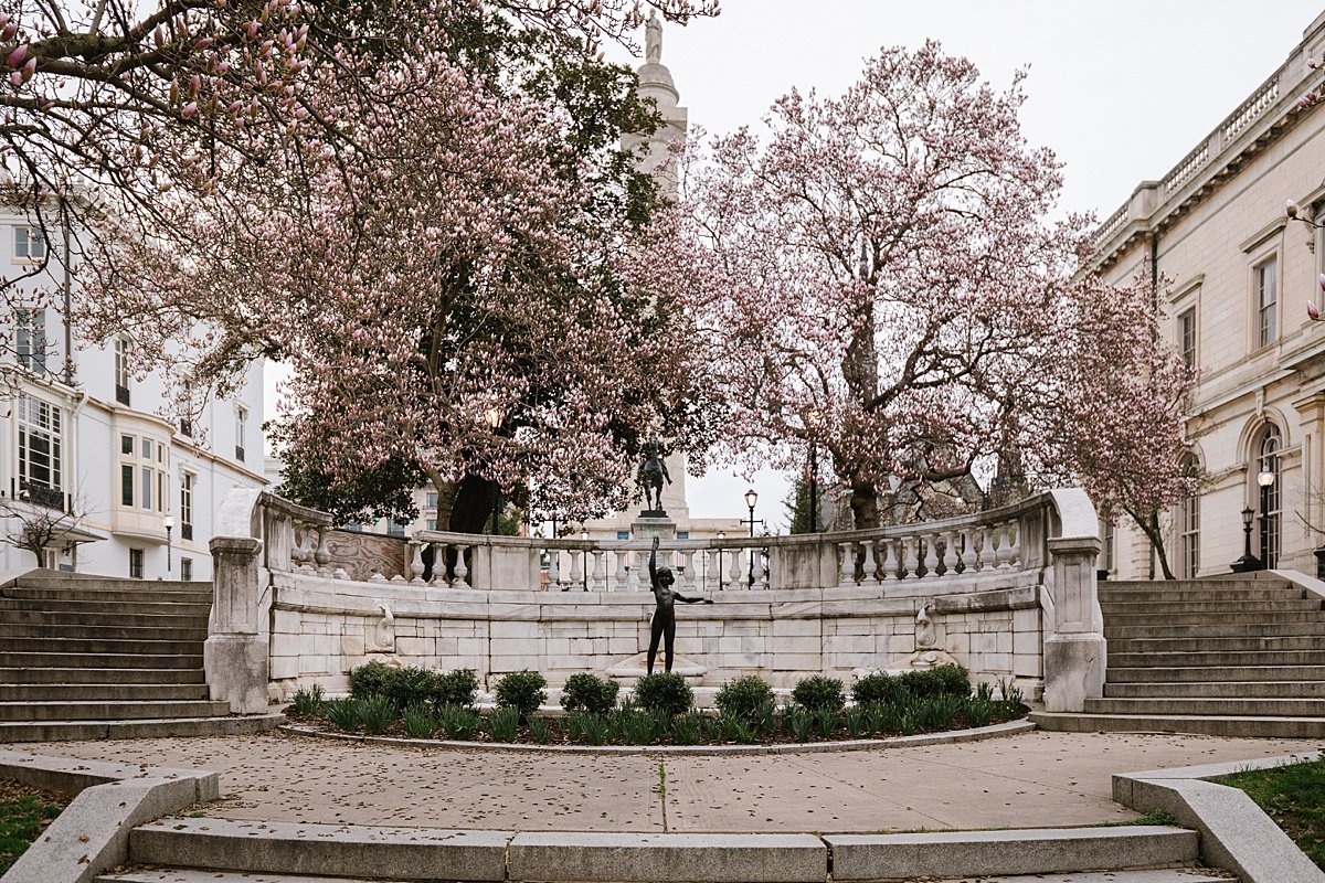 urban-row-photo-spring-magnolia-blooms-washington-monument-baltimore_0016.jpg