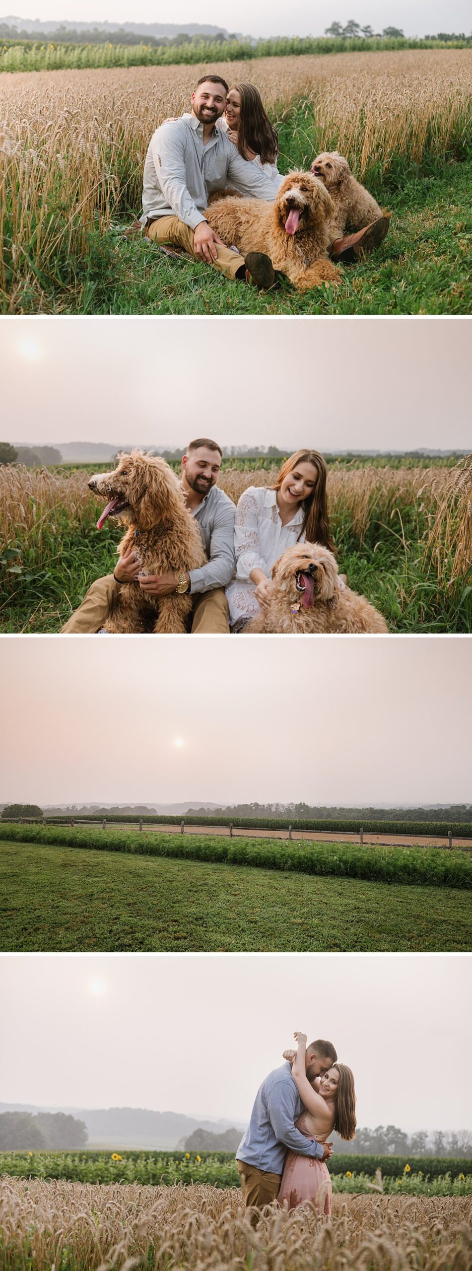 urban-row-photo-wildflower-field-dog-engagement-photographer_0004.jpg