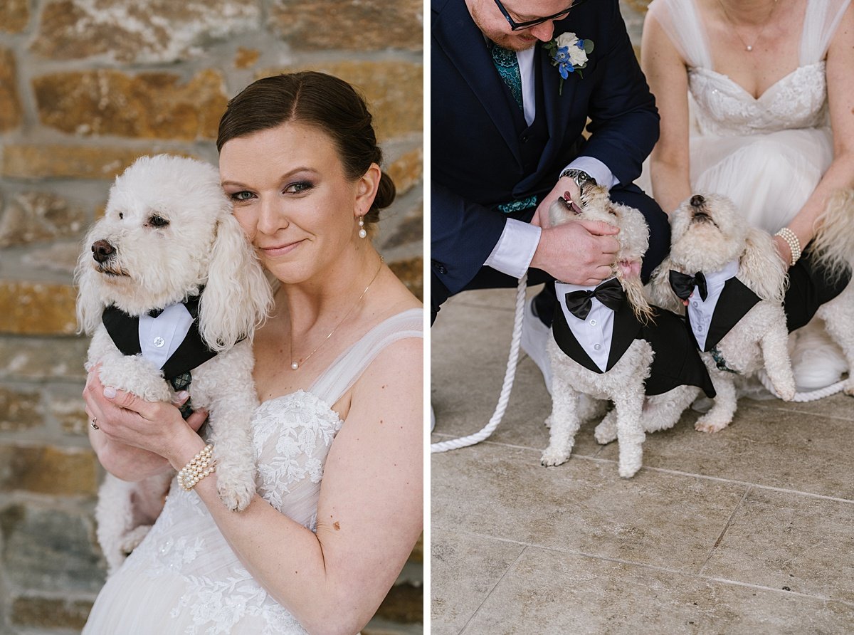 urban-row-photo-bride-with-dogs-in-tuxedos_0014.jpg