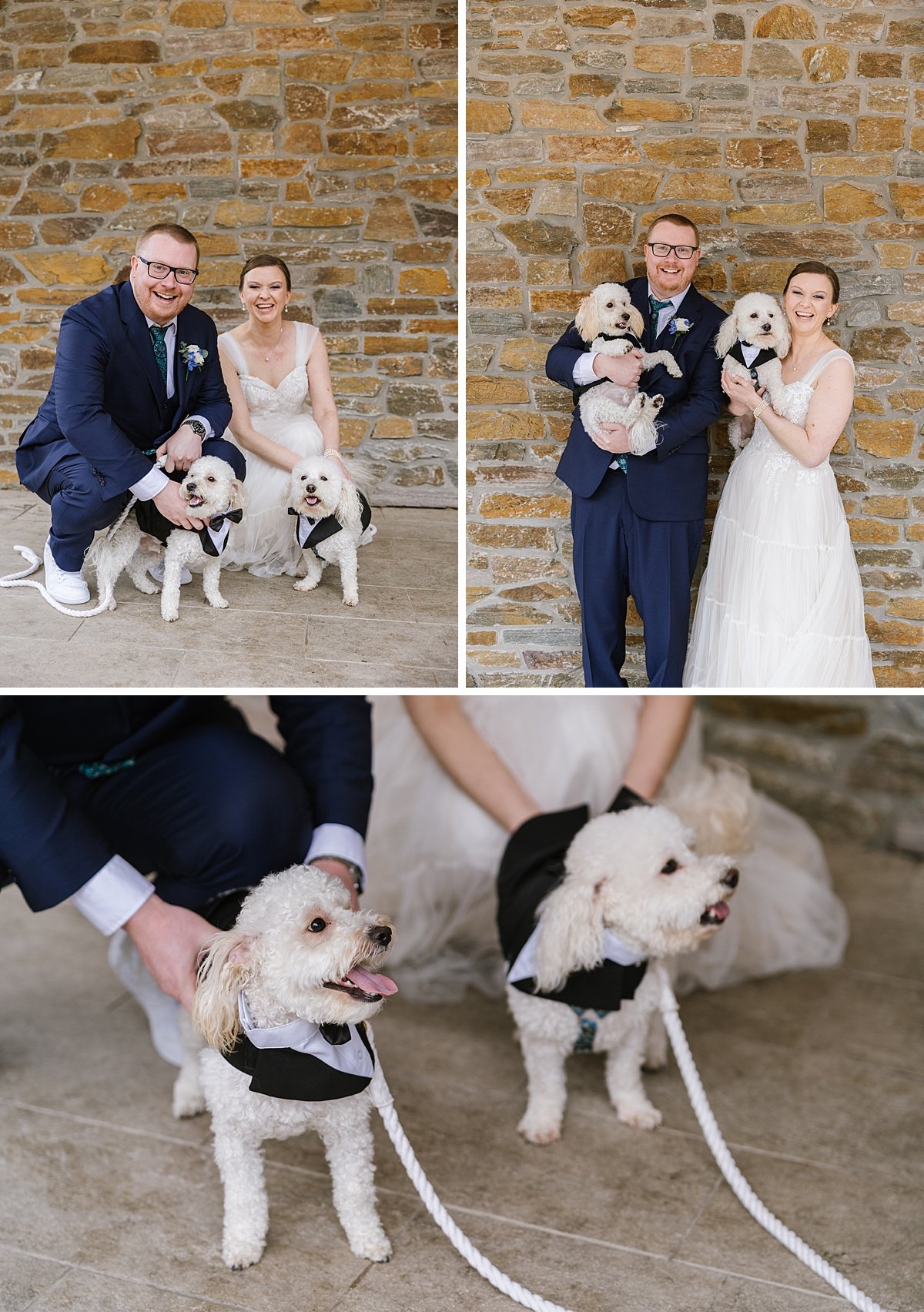 urban-row-photo-dogs-in-tuxedos-wedding-photographer_0013.jpg