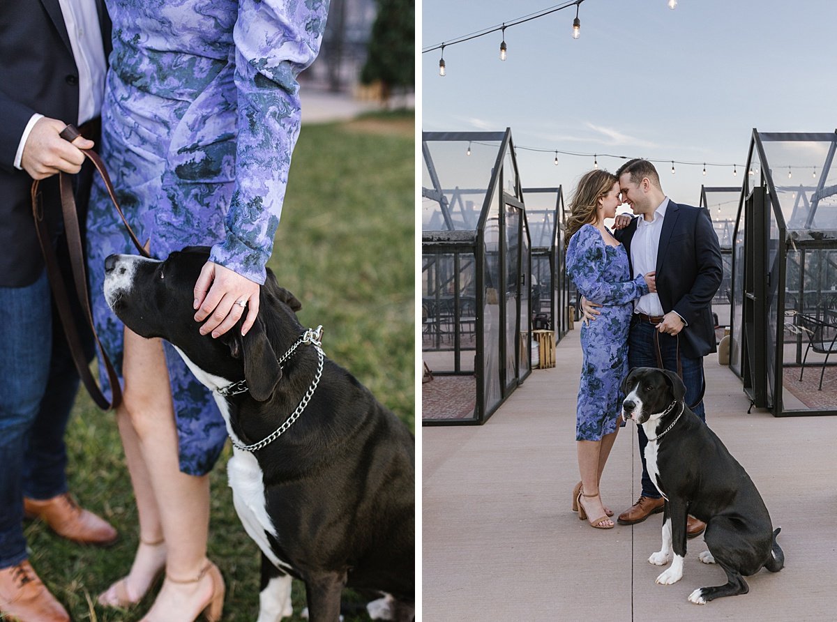 urban-row-photo-dog-engagement-old-westminster-greenhouses_0014.jpg