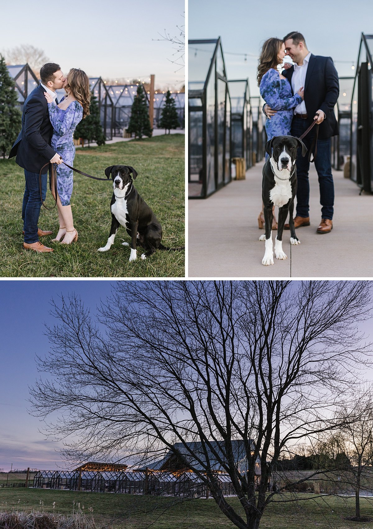 urban-row-photo-dog-engagement-old-westminster-greenhouses_0015.jpg