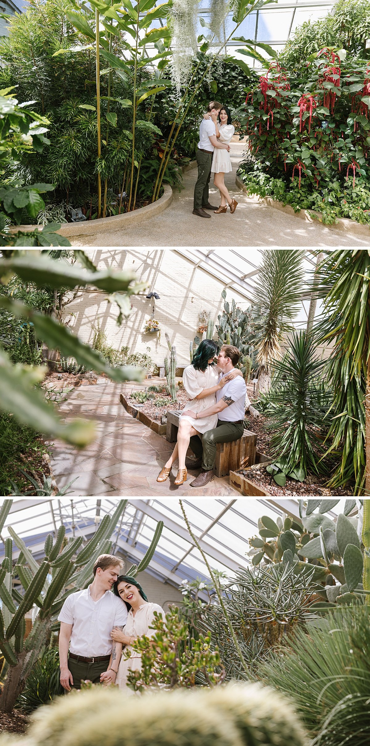 urban-row-photo-baltimore-conservatory-engagement-photos_0006.jpg