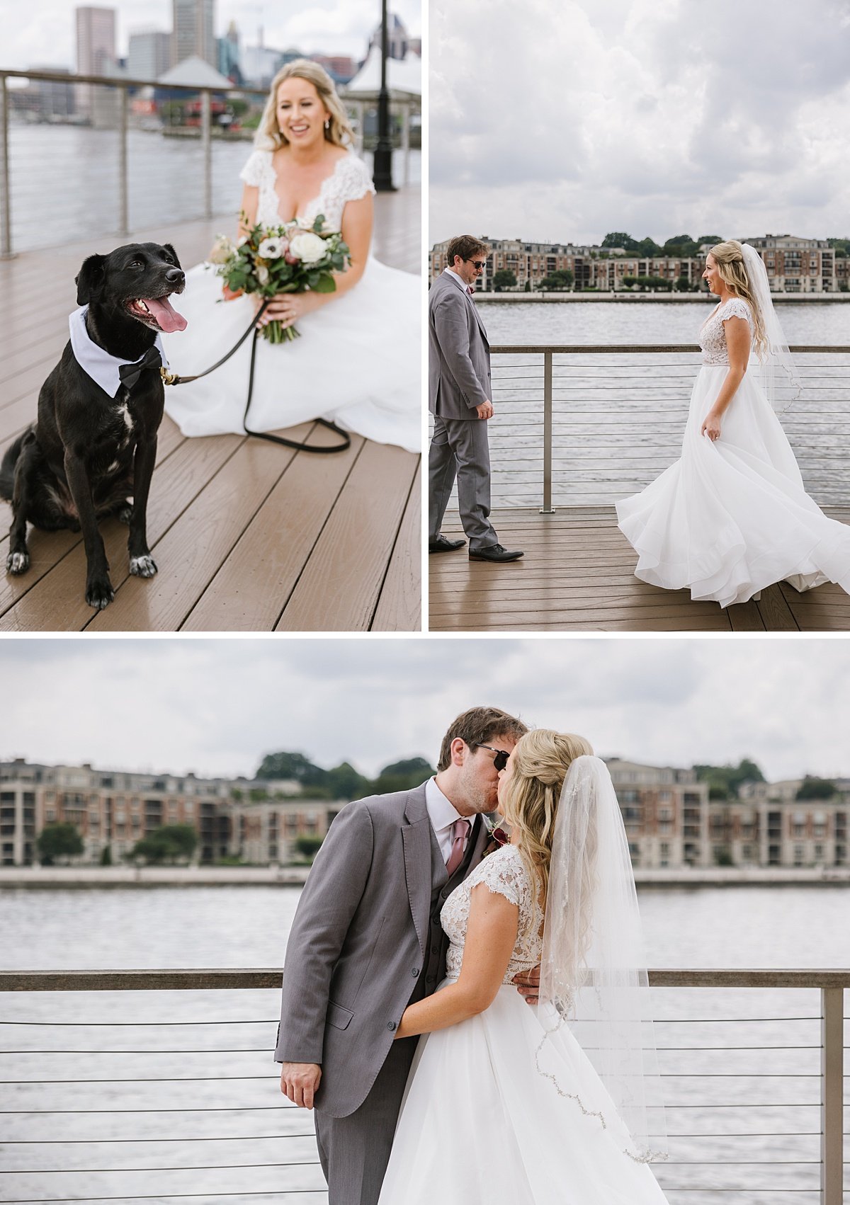 urban-row-photo-dogs-at-baltimore-wedding-photographer_0017.jpg