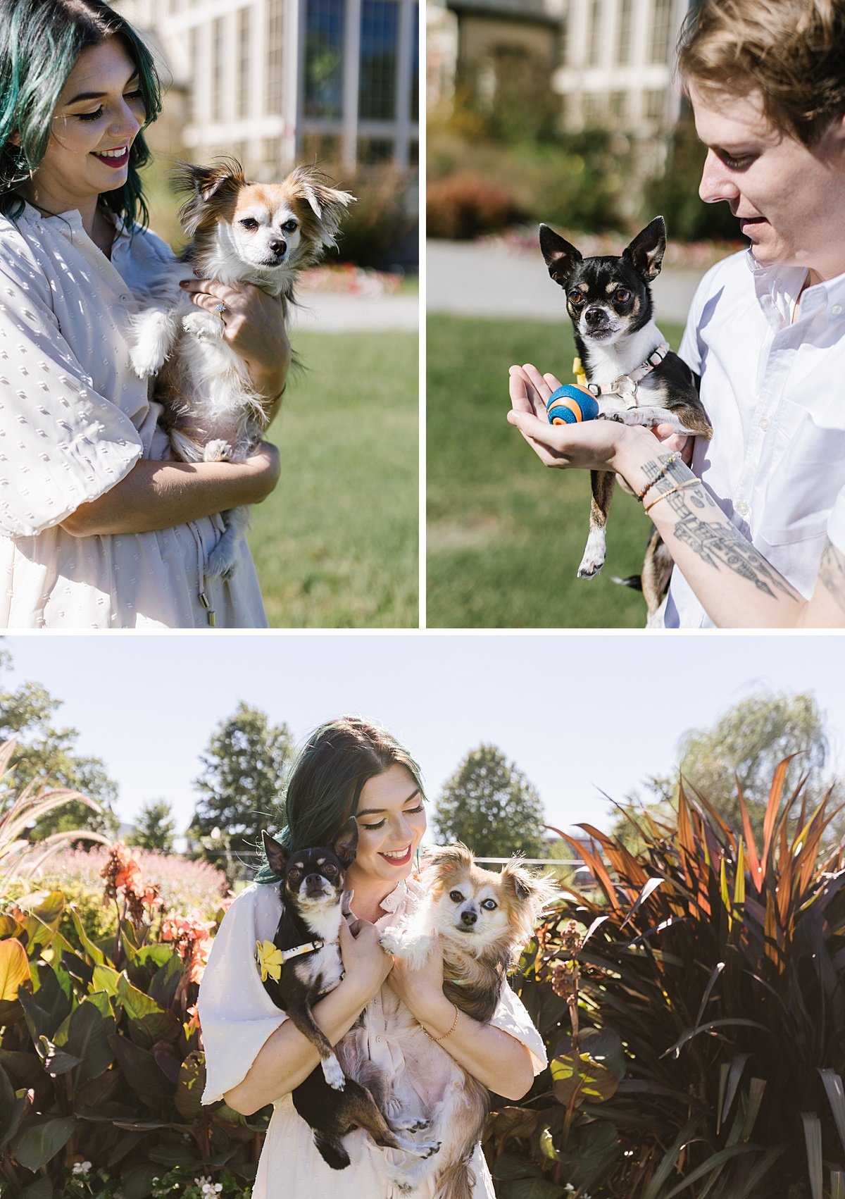 urban-row-photo-rawlings-dog-engagement-photographer_0011.jpg