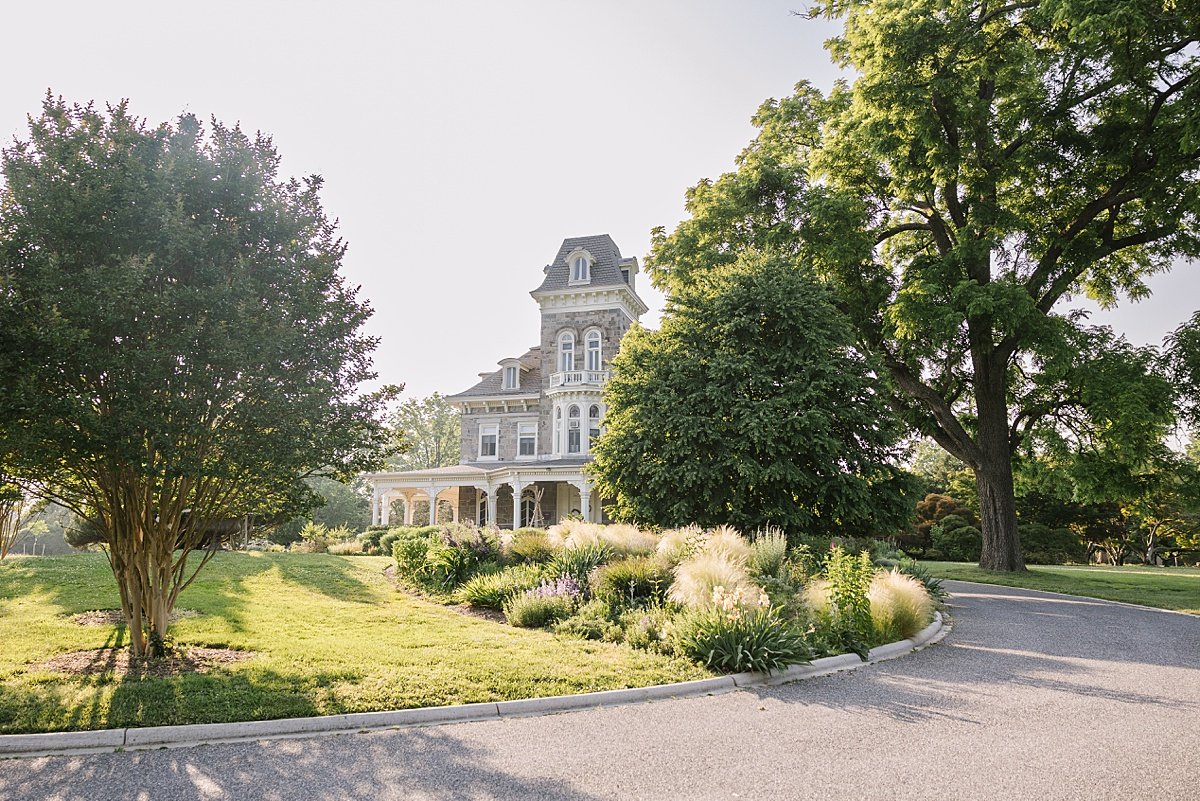 urban-row-photo-cylburn-arboretum-summer-landscape_0003.jpg