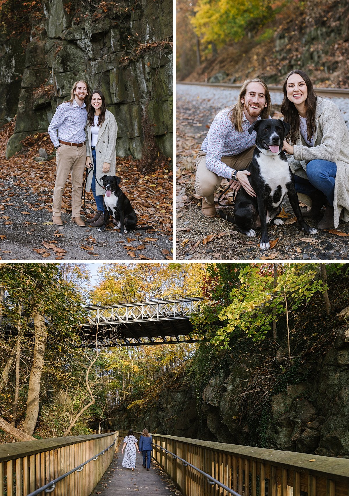 urban-row-photo-ellicott-city-dog-engagement-photos_0002.jpg