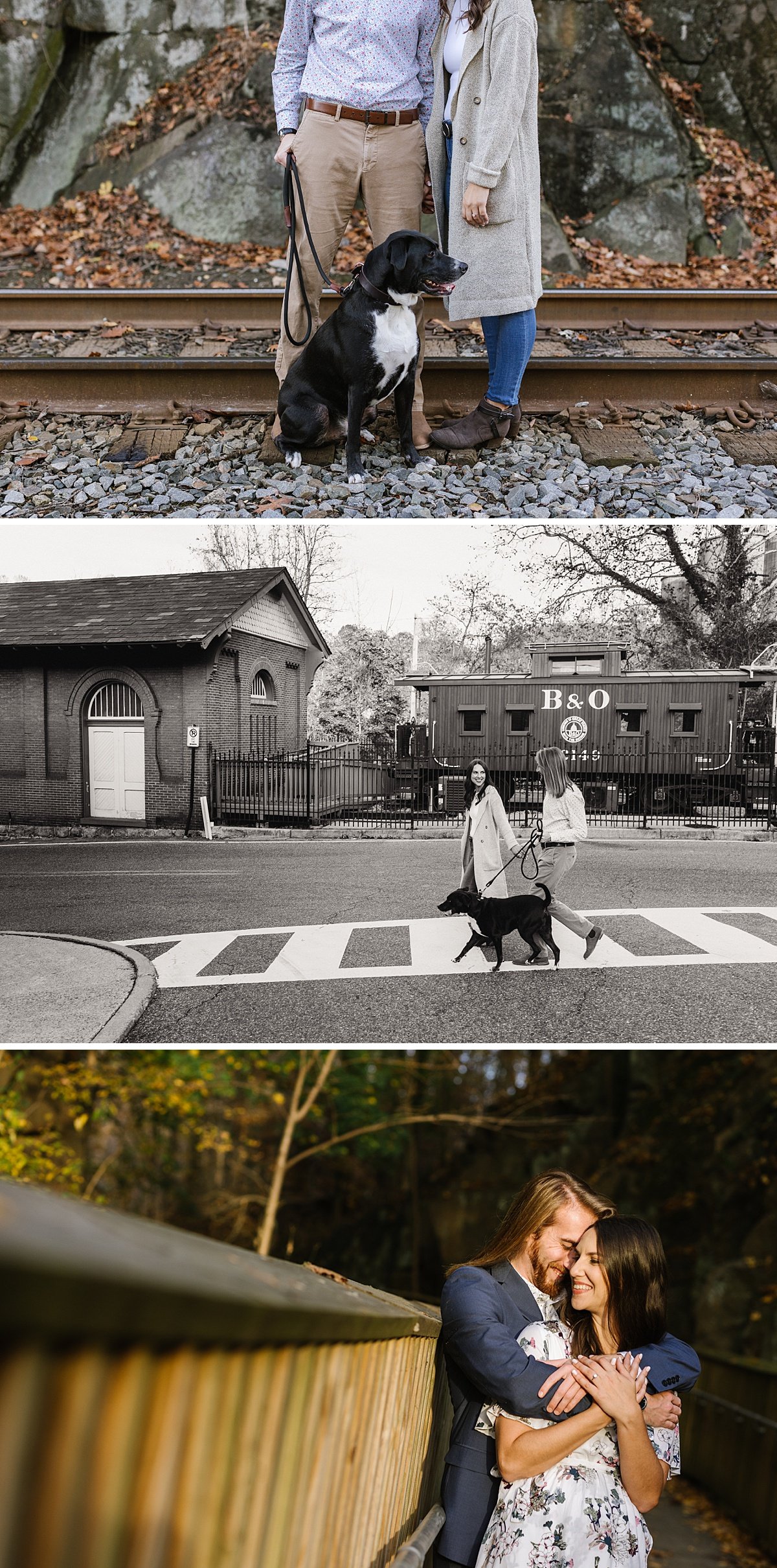 urban-row-photo-ellicott-city-dog-engagement-photos_0003.jpg