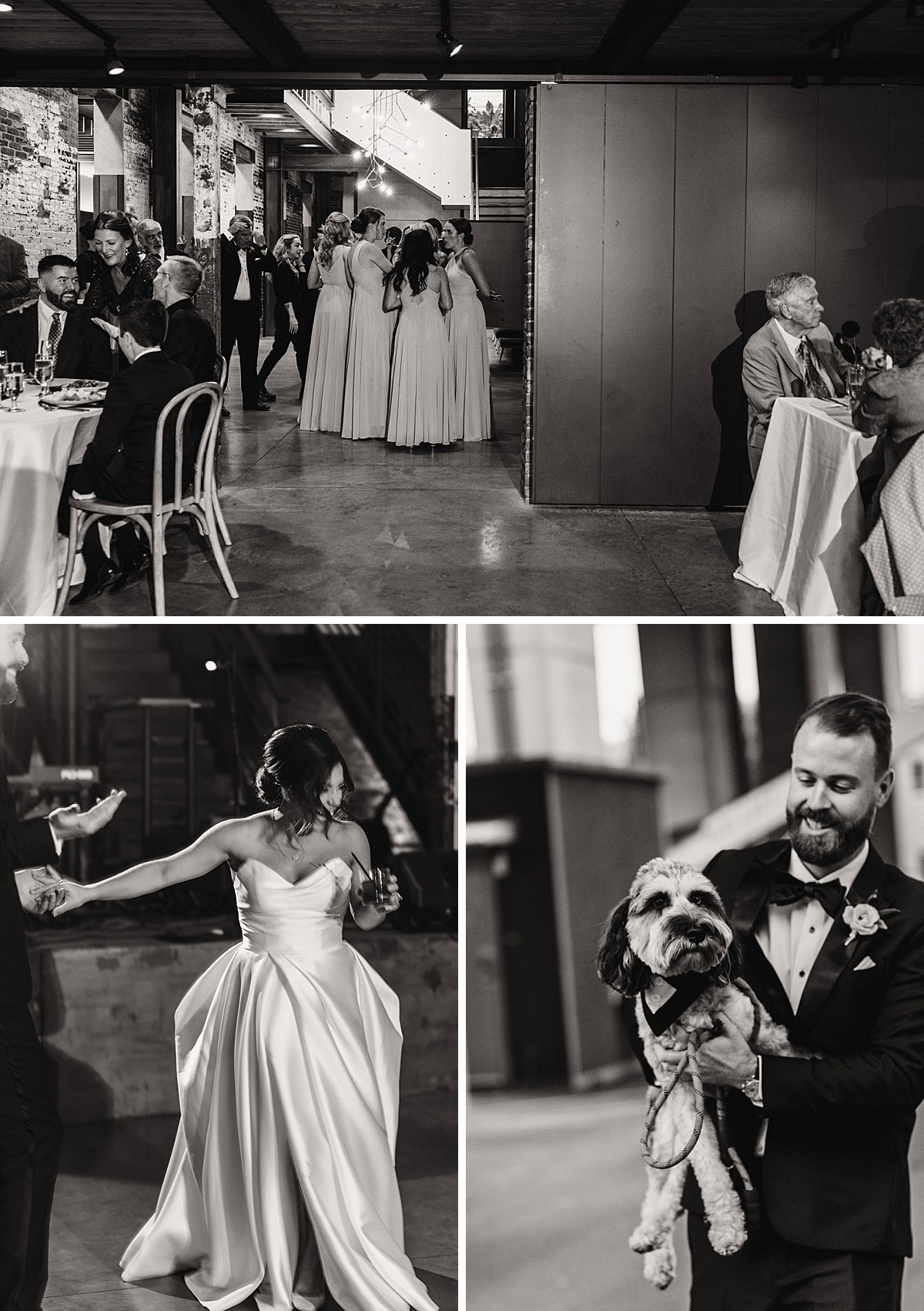 urban-row-photo-winslow-wedding-baltimore-dog-of-honor_0039.jpg