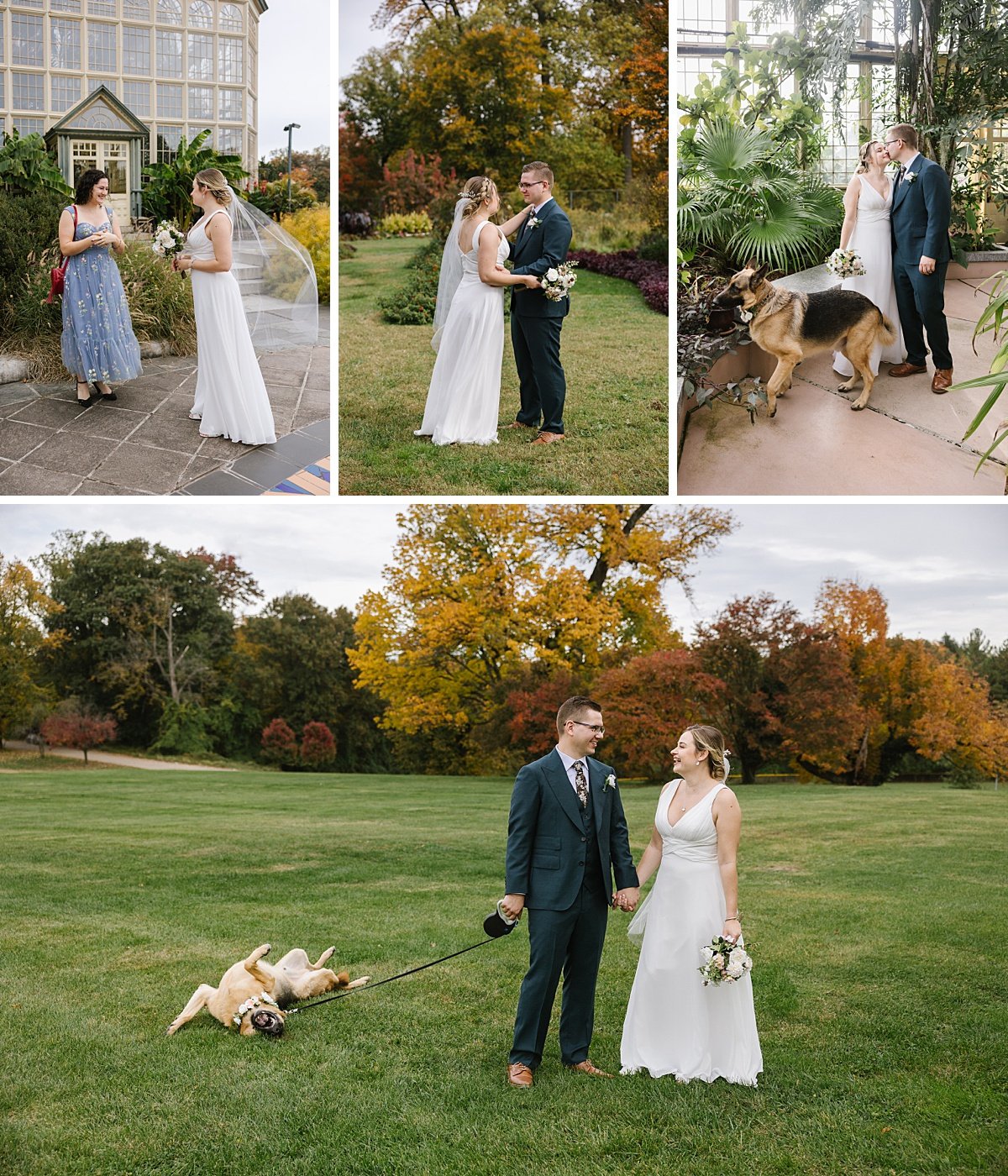 urban-row-photo-rawlings-conservatory-wedding-dog_0015.jpg